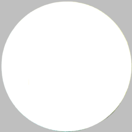 NFC Tag Snow | Digital Business Card